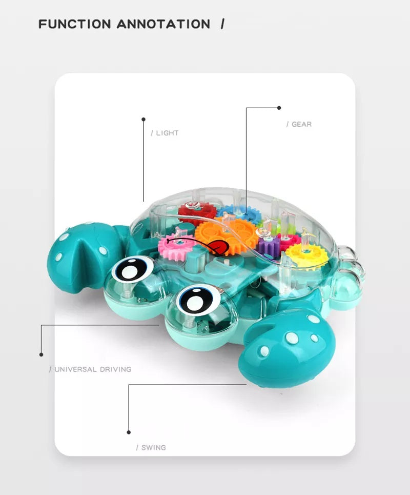 Musical Sensory Transparent Gear Animal Crab